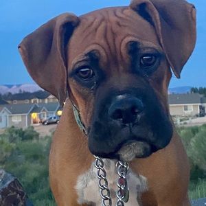 Meet your Posher, Luca